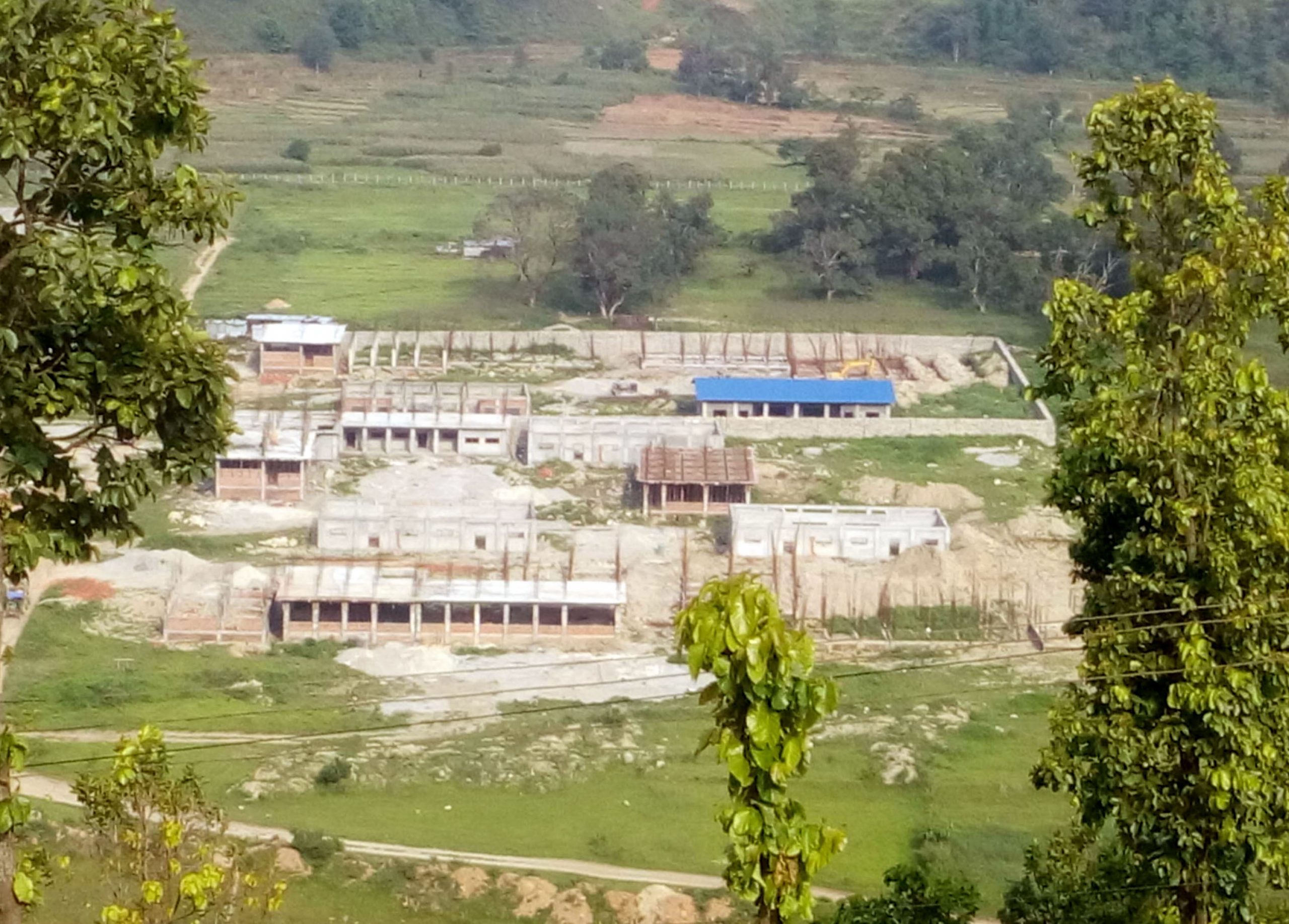 ६४ वर्ष पछि फेला पर्यो अनौठो चरा, आधा मानिस, आधा पंक्षी !