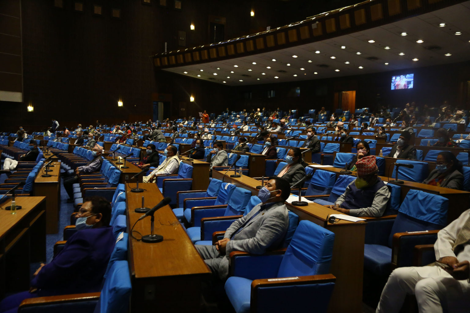 ६४ वर्ष पछि फेला पर्यो अनौठो चरा, आधा मानिस, आधा पंक्षी !