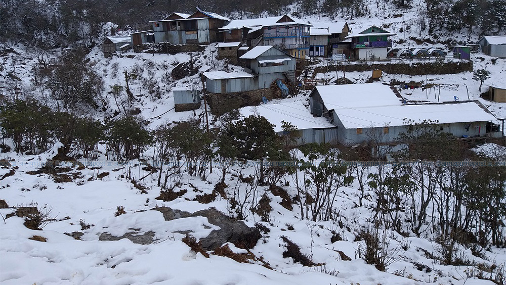६४ वर्ष पछि फेला पर्यो अनौठो चरा, आधा मानिस, आधा पंक्षी !