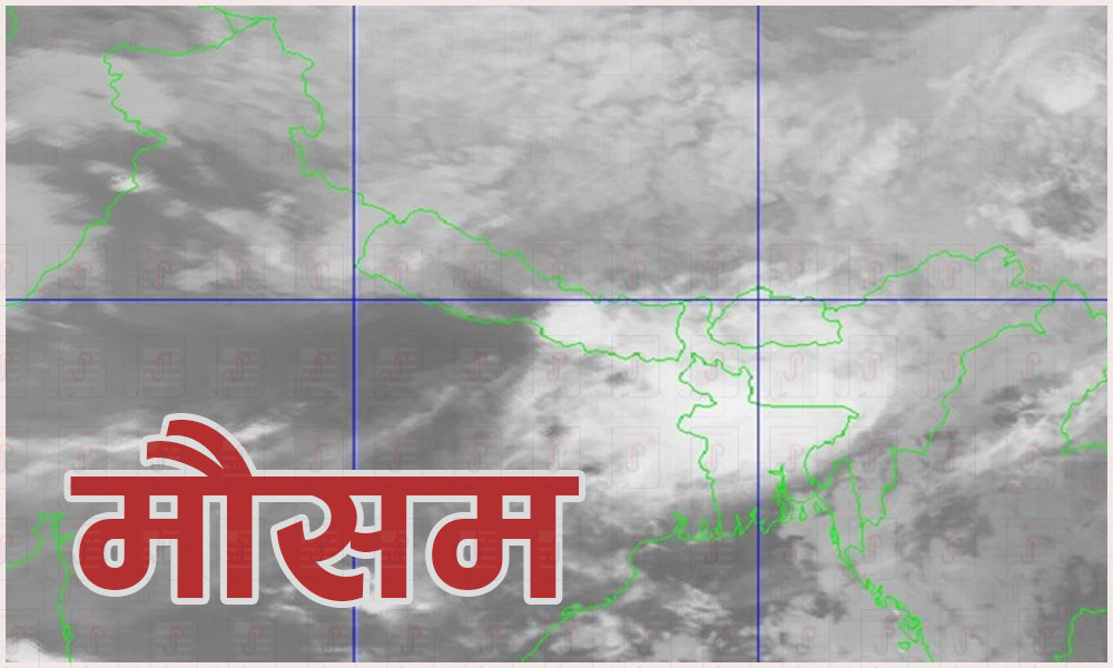 ६४ वर्ष पछि फेला पर्यो अनौठो चरा, आधा मानिस, आधा पंक्षी !
