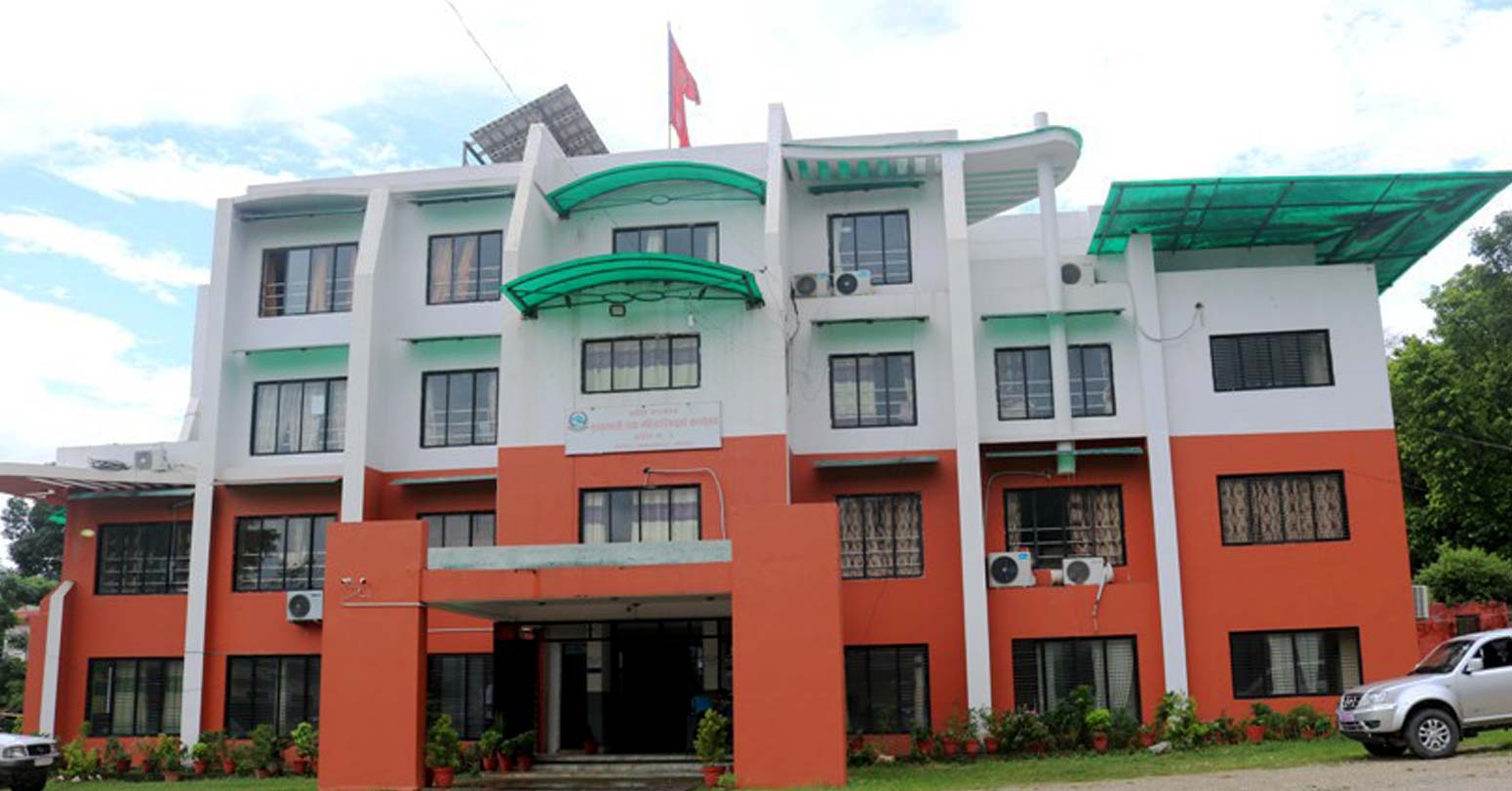 ६४ वर्ष पछि फेला पर्यो अनौठो चरा, आधा मानिस, आधा पंक्षी !