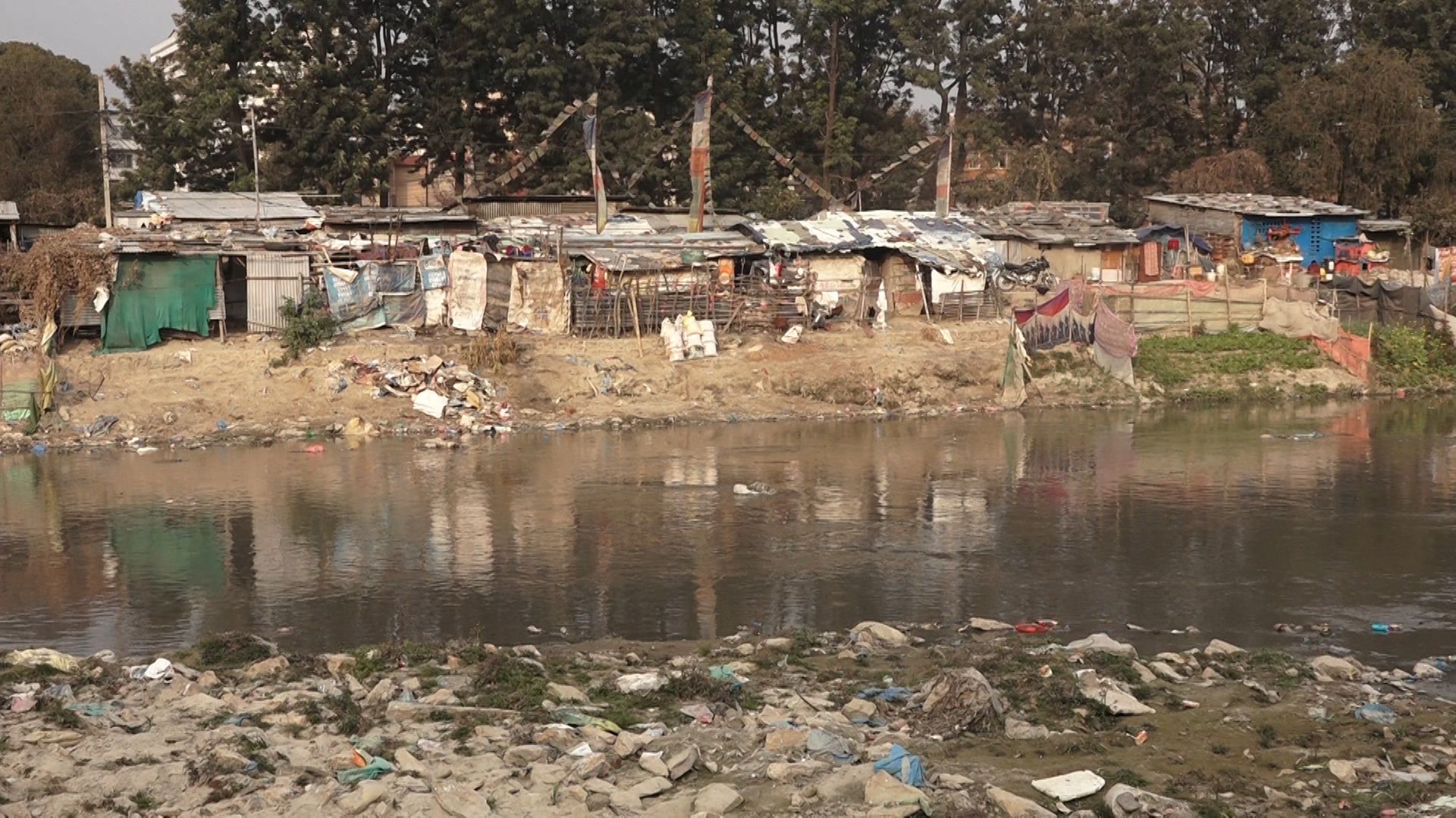६४ वर्ष पछि फेला पर्यो अनौठो चरा, आधा मानिस, आधा पंक्षी !