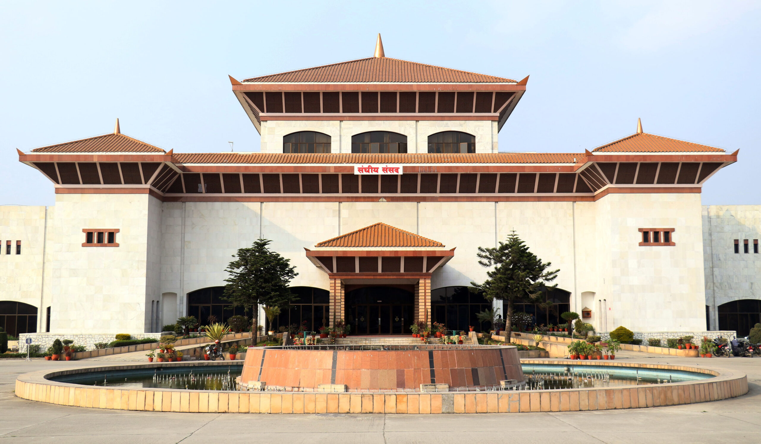 ६४ वर्ष पछि फेला पर्यो अनौठो चरा, आधा मानिस, आधा पंक्षी !