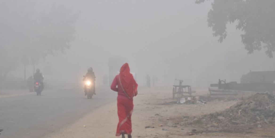 ६४ वर्ष पछि फेला पर्यो अनौठो चरा, आधा मानिस, आधा पंक्षी !