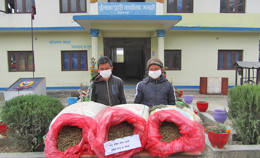 ६४ वर्ष पछि फेला पर्यो अनौठो चरा, आधा मानिस, आधा पंक्षी !