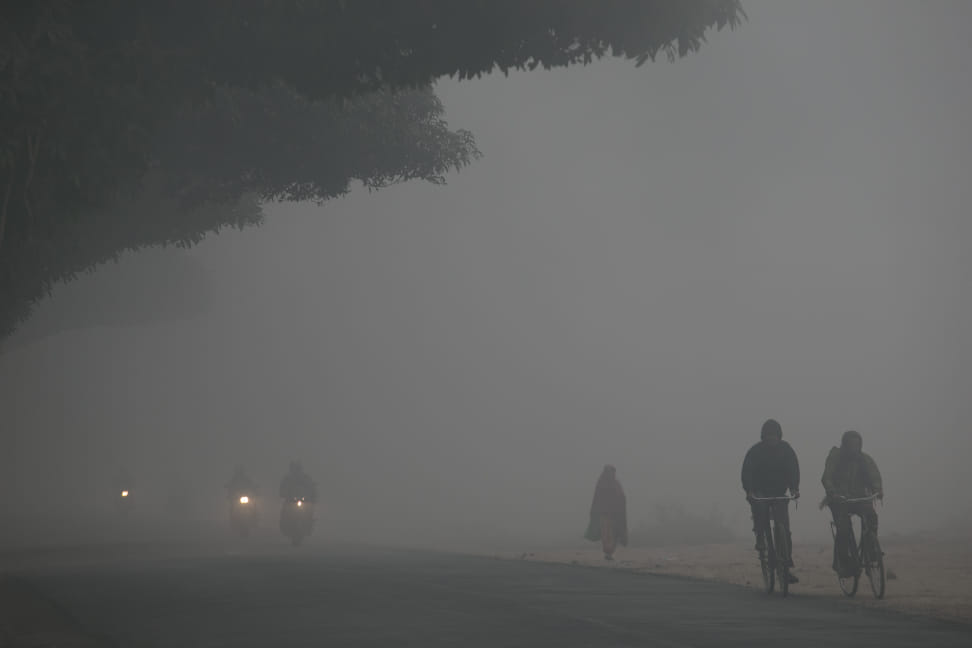 ६४ वर्ष पछि फेला पर्यो अनौठो चरा, आधा मानिस, आधा पंक्षी !