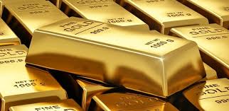 ६४ वर्ष पछि फेला पर्यो अनौठो चरा, आधा मानिस, आधा पंक्षी !