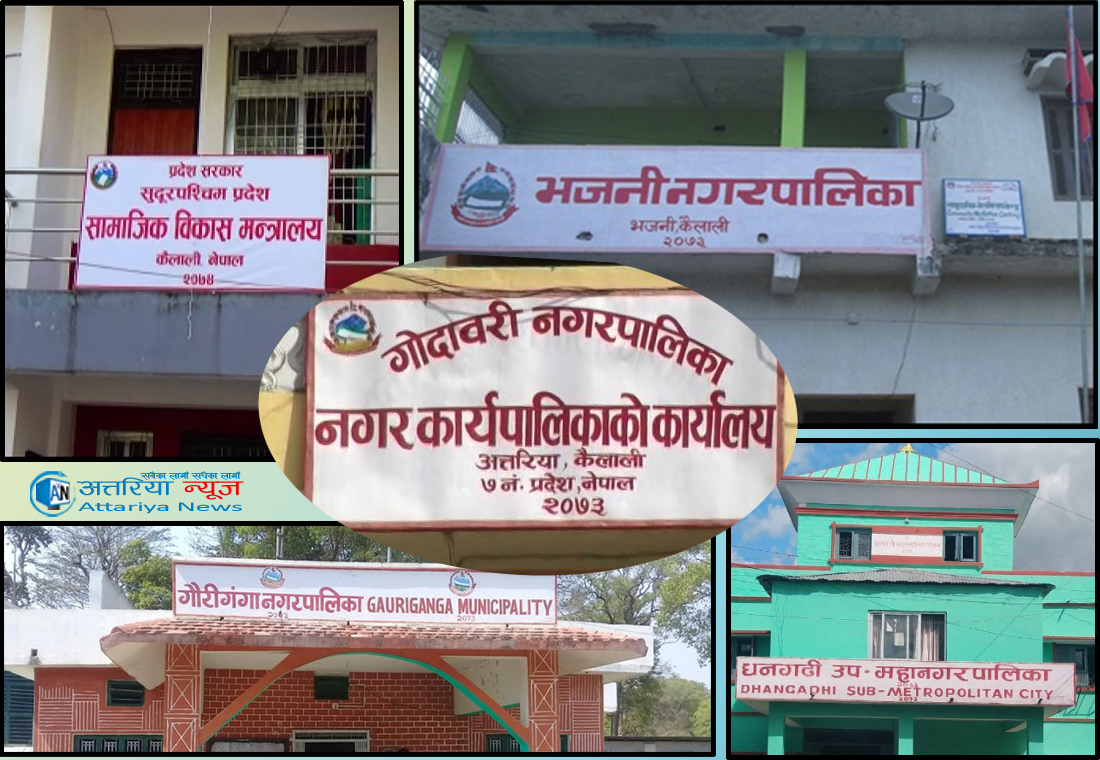 ६४ वर्ष पछि फेला पर्यो अनौठो चरा, आधा मानिस, आधा पंक्षी !