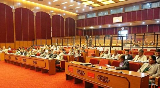 ६४ वर्ष पछि फेला पर्यो अनौठो चरा, आधा मानिस, आधा पंक्षी !