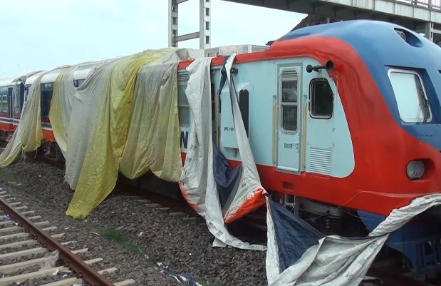 ६४ वर्ष पछि फेला पर्यो अनौठो चरा, आधा मानिस, आधा पंक्षी !