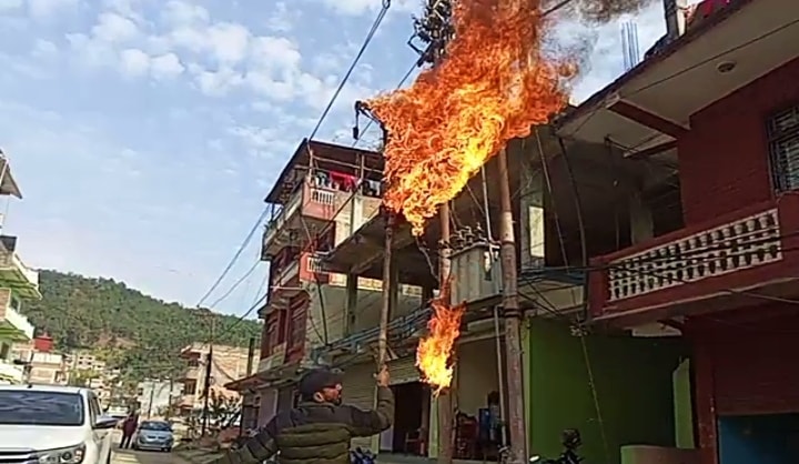 ६४ वर्ष पछि फेला पर्यो अनौठो चरा, आधा मानिस, आधा पंक्षी !