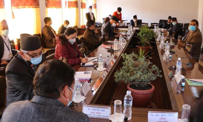 ६४ वर्ष पछि फेला पर्यो अनौठो चरा, आधा मानिस, आधा पंक्षी !