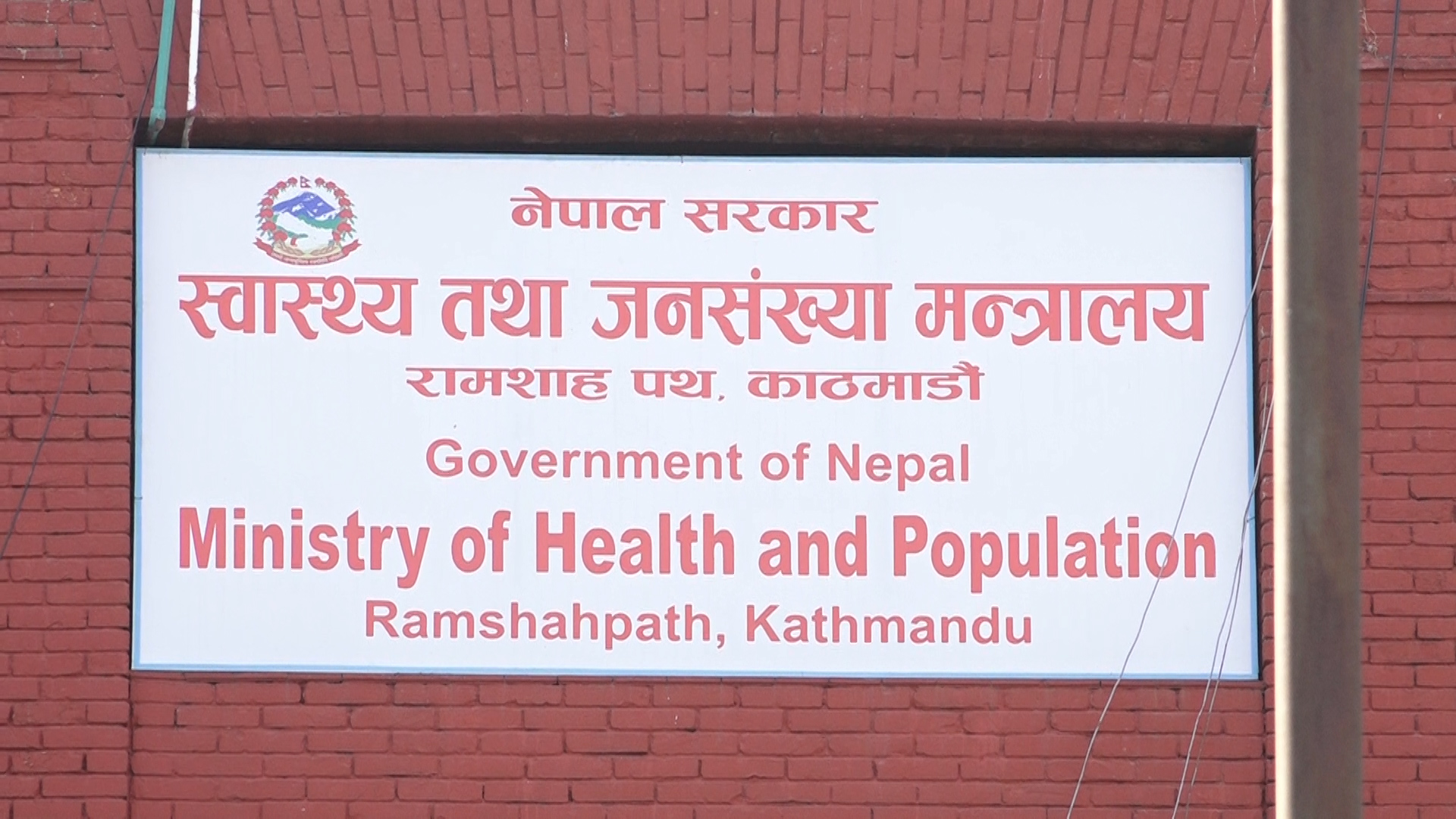 ६४ वर्ष पछि फेला पर्यो अनौठो चरा, आधा मानिस, आधा पंक्षी !