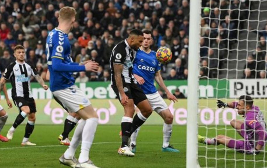 ६४ वर्ष पछि फेला पर्यो अनौठो चरा, आधा मानिस, आधा पंक्षी !