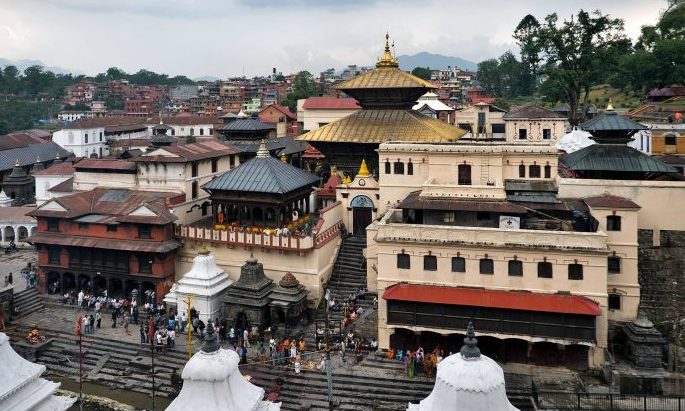 ६४ वर्ष पछि फेला पर्यो अनौठो चरा, आधा मानिस, आधा पंक्षी !