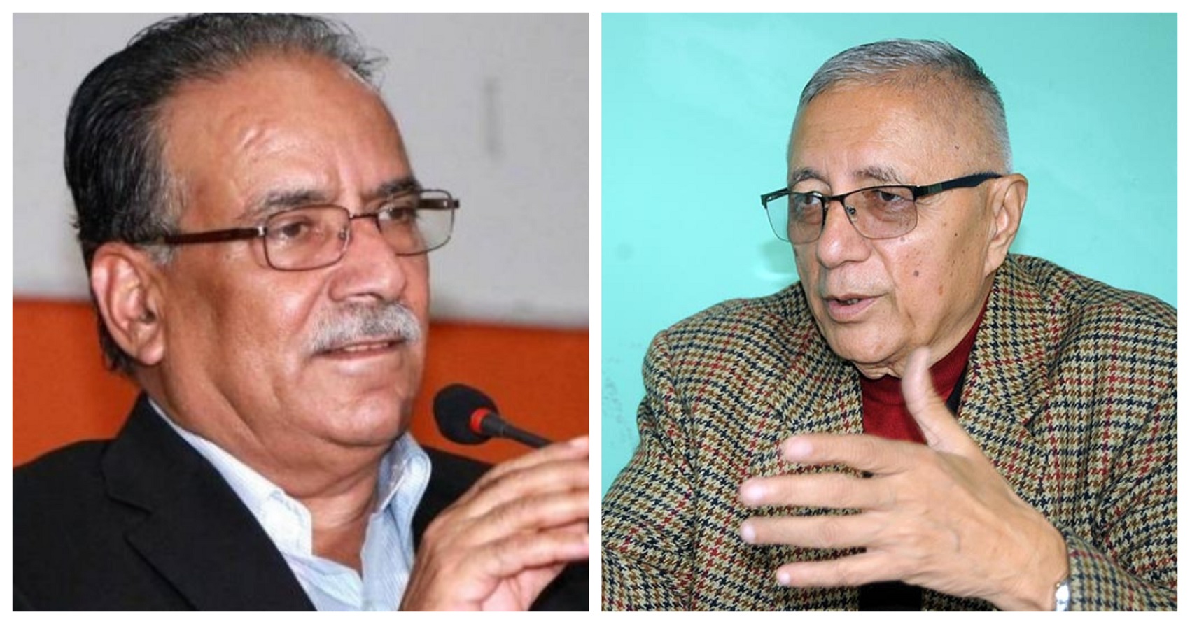 ६४ वर्ष पछि फेला पर्यो अनौठो चरा, आधा मानिस, आधा पंक्षी !