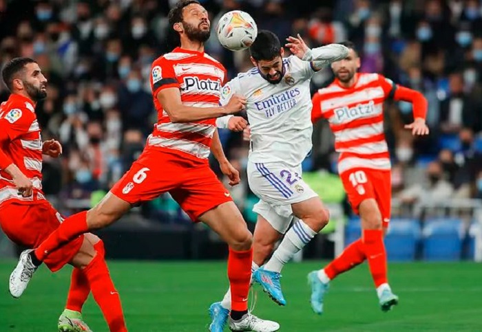 ६४ वर्ष पछि फेला पर्यो अनौठो चरा, आधा मानिस, आधा पंक्षी !