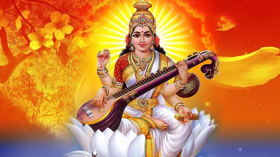 ६४ वर्ष पछि फेला पर्यो अनौठो चरा, आधा मानिस, आधा पंक्षी !
