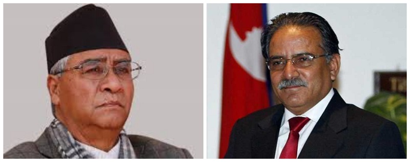 ६४ वर्ष पछि फेला पर्यो अनौठो चरा, आधा मानिस, आधा पंक्षी !