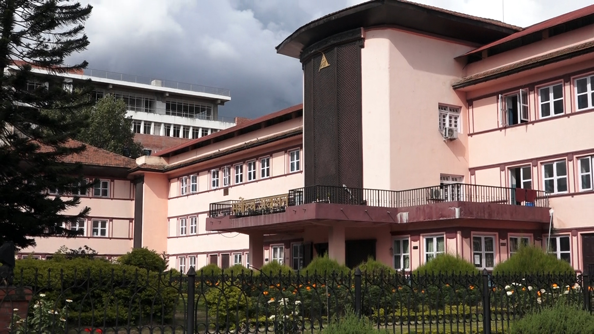 ६४ वर्ष पछि फेला पर्यो अनौठो चरा, आधा मानिस, आधा पंक्षी !