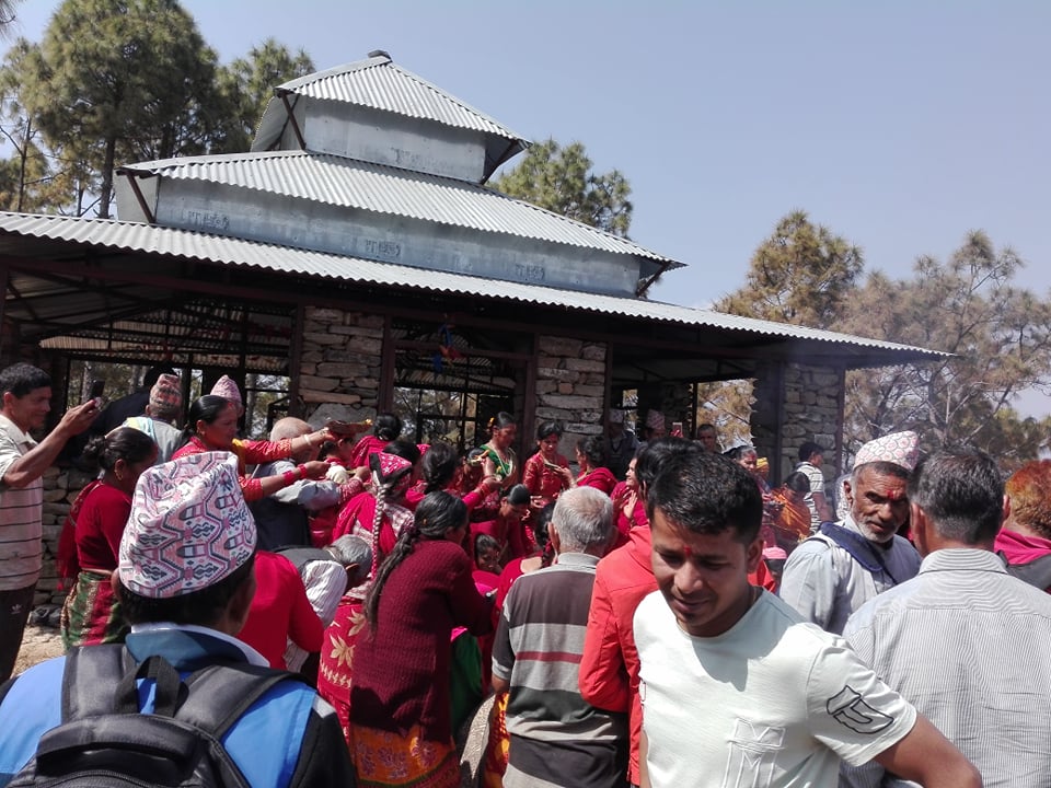 ६४ वर्ष पछि फेला पर्यो अनौठो चरा, आधा मानिस, आधा पंक्षी !