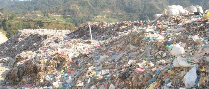 ६४ वर्ष पछि फेला पर्यो अनौठो चरा, आधा मानिस, आधा पंक्षी !