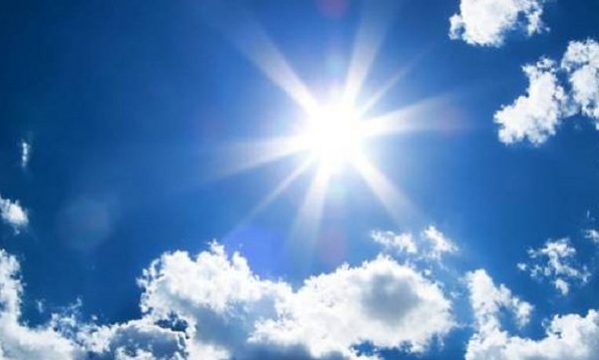 ६४ वर्ष पछि फेला पर्यो अनौठो चरा, आधा मानिस, आधा पंक्षी !