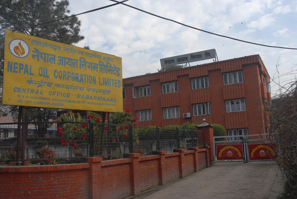 ६४ वर्ष पछि फेला पर्यो अनौठो चरा, आधा मानिस, आधा पंक्षी !