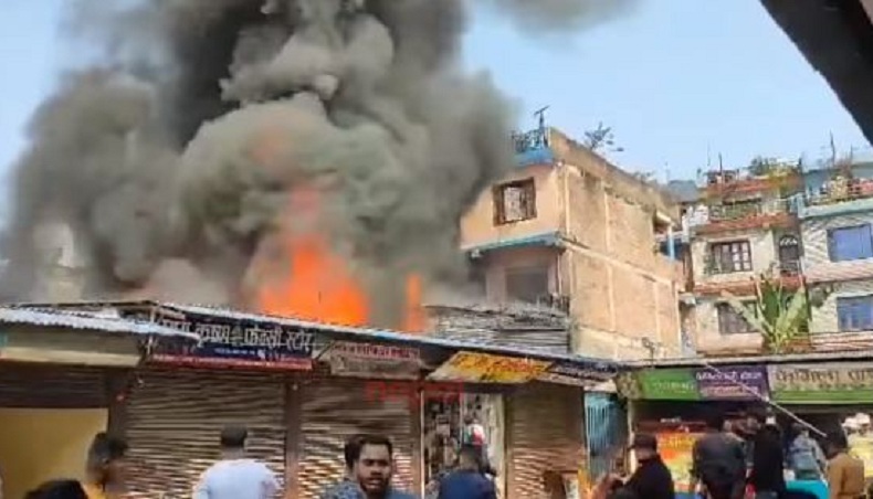 ६४ वर्ष पछि फेला पर्यो अनौठो चरा, आधा मानिस, आधा पंक्षी !