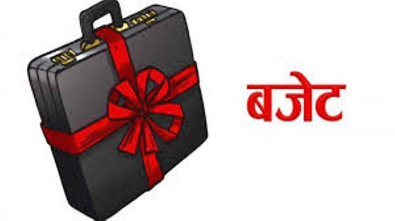 ६४ वर्ष पछि फेला पर्यो अनौठो चरा, आधा मानिस, आधा पंक्षी !