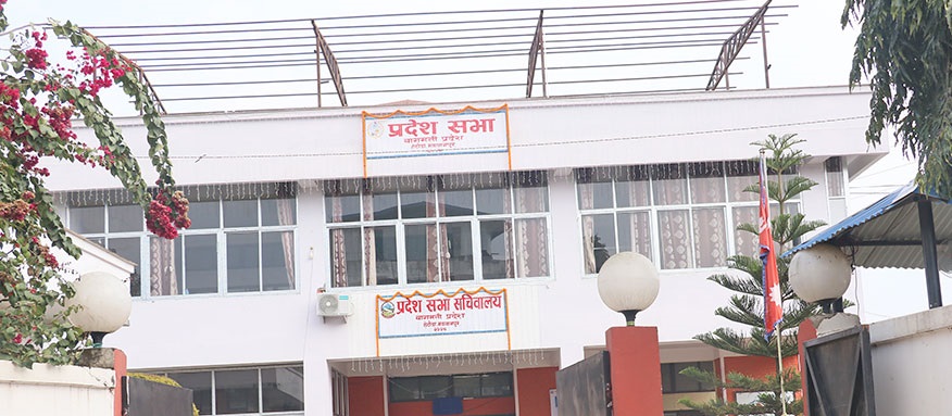 ६४ वर्ष पछि फेला पर्यो अनौठो चरा, आधा मानिस, आधा पंक्षी !