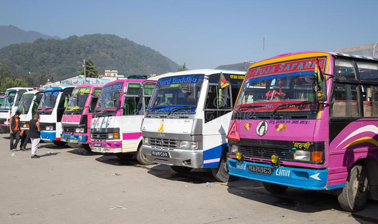 ६४ वर्ष पछि फेला पर्यो अनौठो चरा, आधा मानिस, आधा पंक्षी !