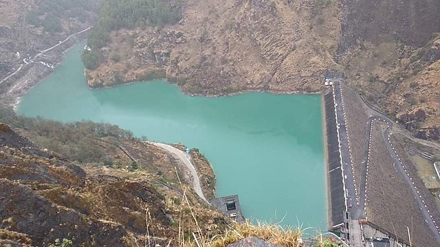 ६४ वर्ष पछि फेला पर्यो अनौठो चरा, आधा मानिस, आधा पंक्षी !