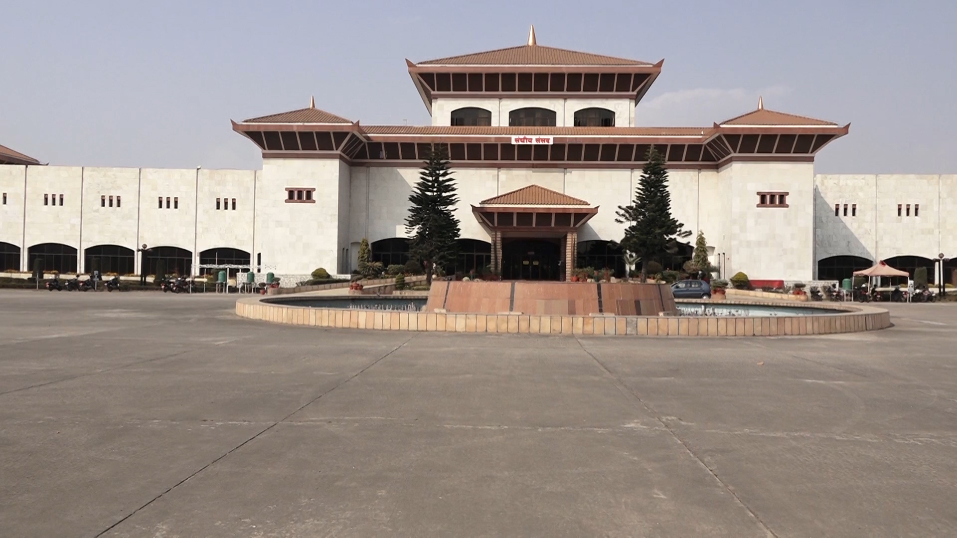 ६४ वर्ष पछि फेला पर्यो अनौठो चरा, आधा मानिस, आधा पंक्षी !