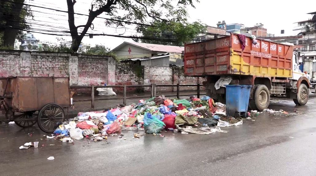६४ वर्ष पछि फेला पर्यो अनौठो चरा, आधा मानिस, आधा पंक्षी !