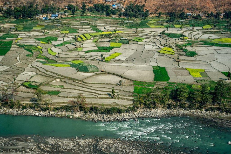 ६४ वर्ष पछि फेला पर्यो अनौठो चरा, आधा मानिस, आधा पंक्षी !