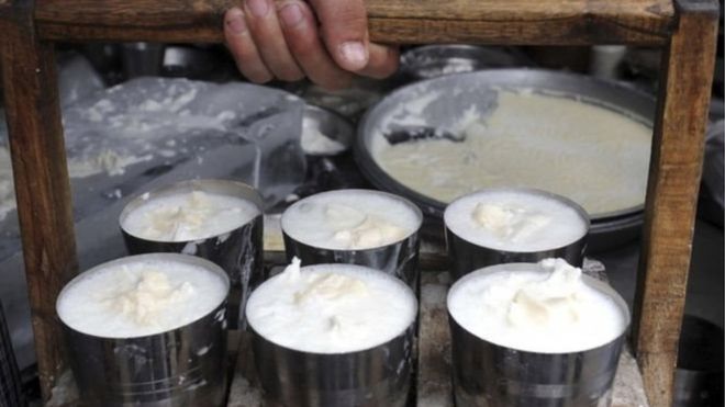 ६४ वर्ष पछि फेला पर्यो अनौठो चरा, आधा मानिस, आधा पंक्षी !