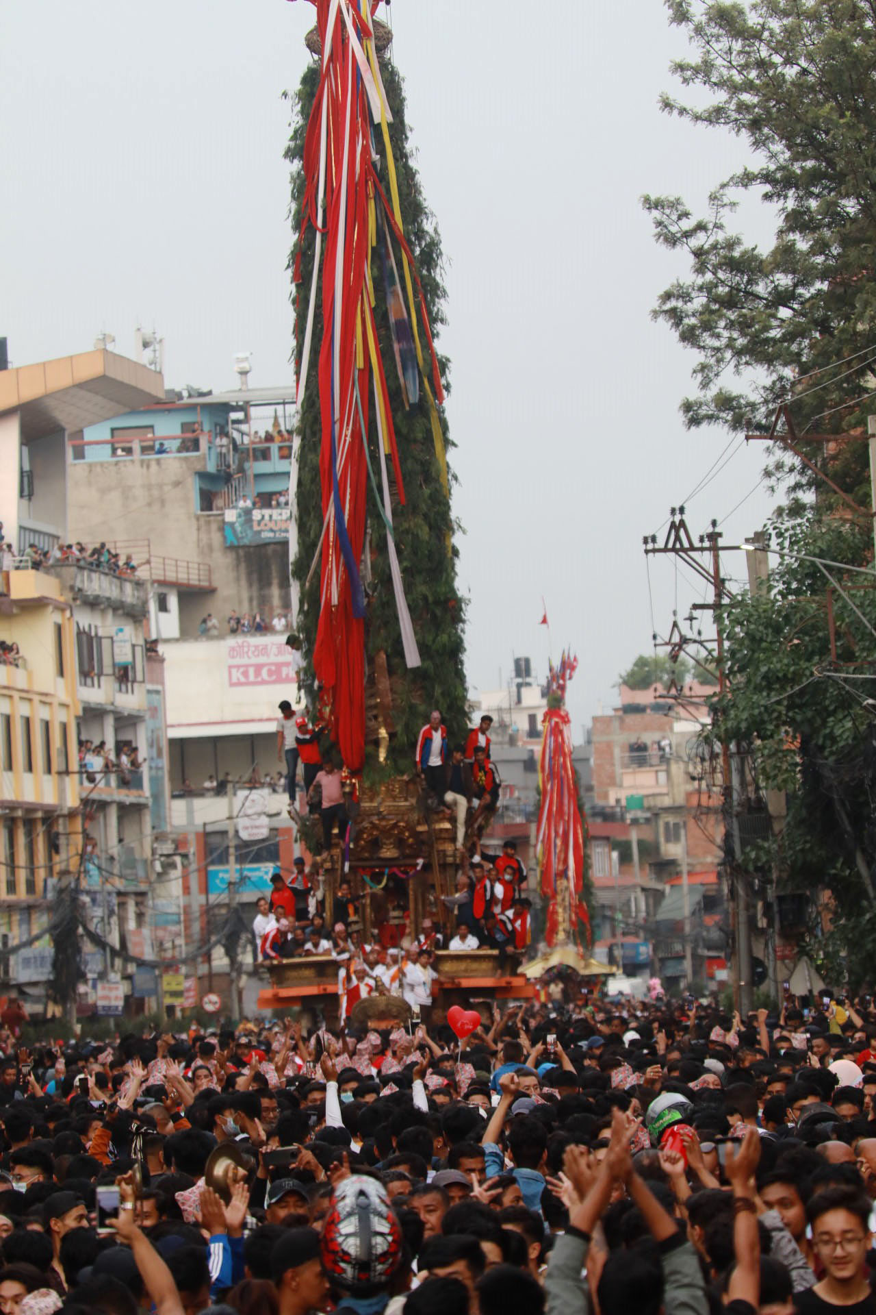 ६४ वर्ष पछि फेला पर्यो अनौठो चरा, आधा मानिस, आधा पंक्षी !