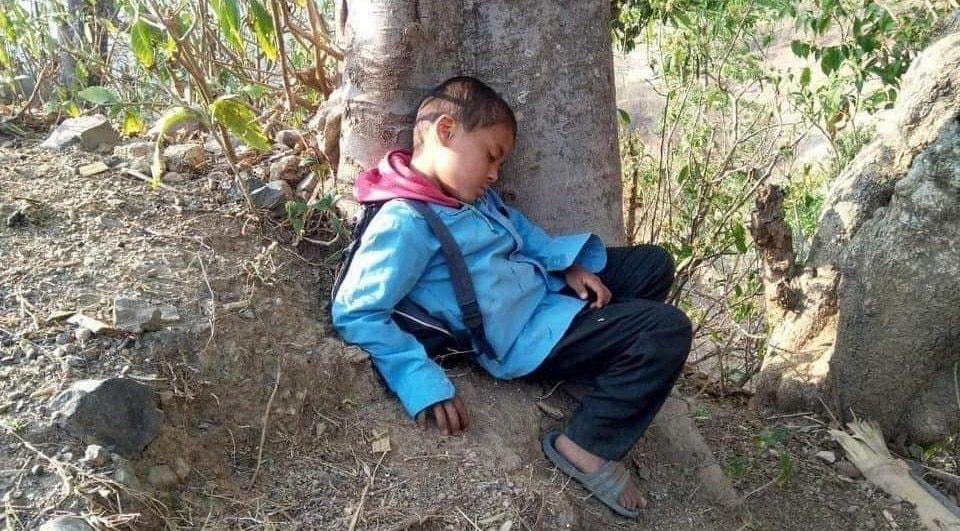 ६४ वर्ष पछि फेला पर्यो अनौठो चरा, आधा मानिस, आधा पंक्षी !