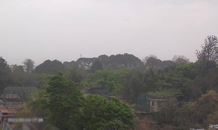 ६४ वर्ष पछि फेला पर्यो अनौठो चरा, आधा मानिस, आधा पंक्षी !