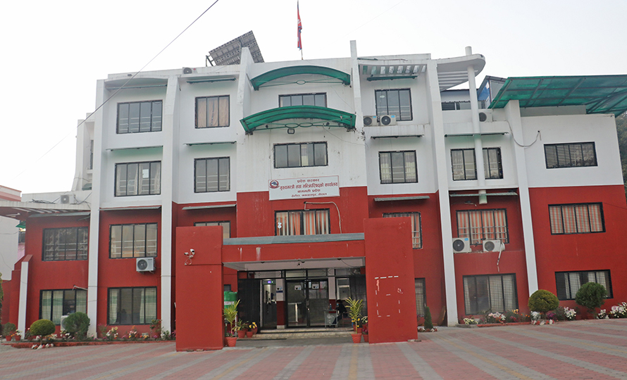 ६४ वर्ष पछि फेला पर्यो अनौठो चरा, आधा मानिस, आधा पंक्षी !