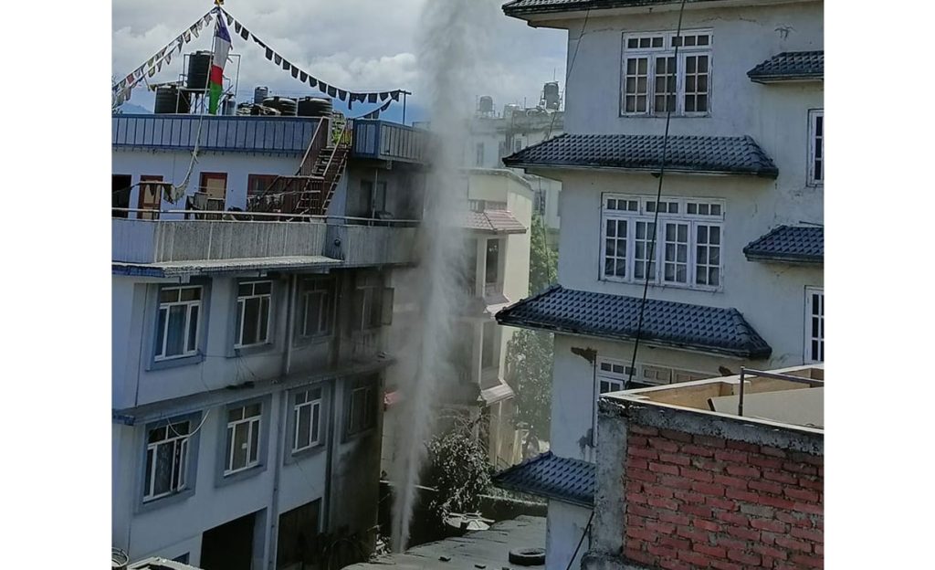 ६४ वर्ष पछि फेला पर्यो अनौठो चरा, आधा मानिस, आधा पंक्षी !