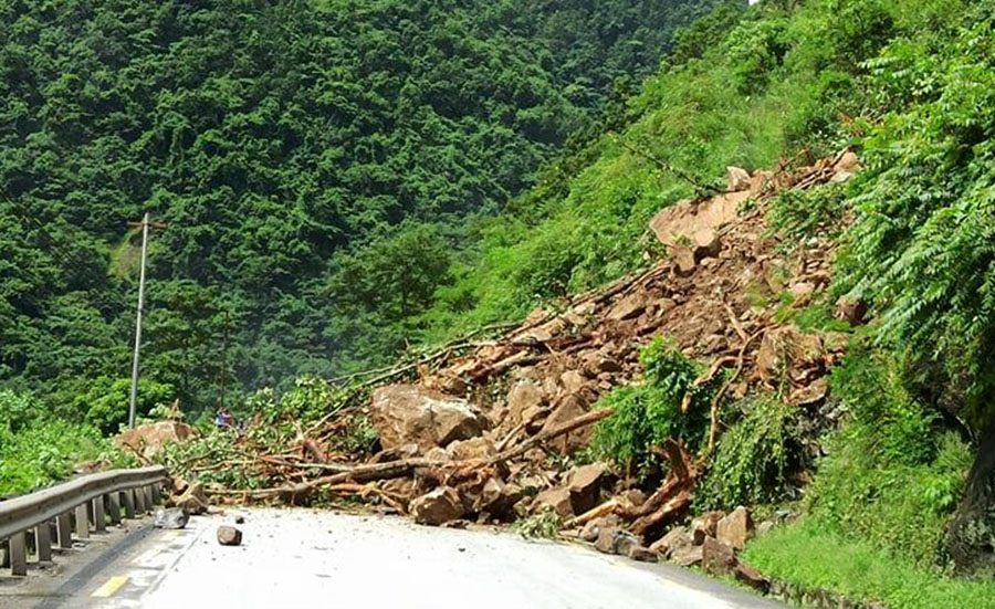 ६४ वर्ष पछि फेला पर्यो अनौठो चरा, आधा मानिस, आधा पंक्षी !
