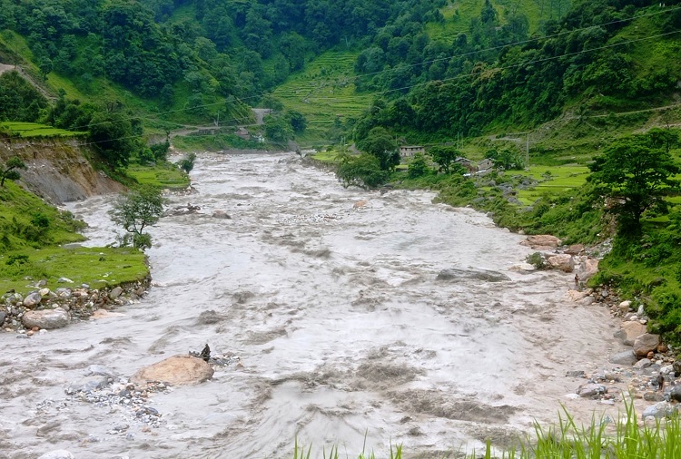 ६४ वर्ष पछि फेला पर्यो अनौठो चरा, आधा मानिस, आधा पंक्षी !