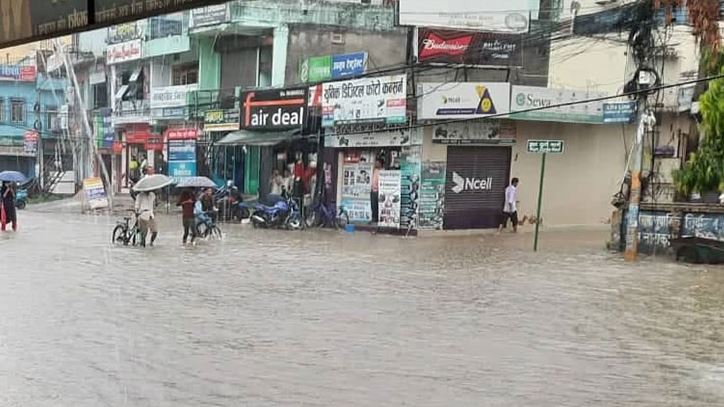 ६४ वर्ष पछि फेला पर्यो अनौठो चरा, आधा मानिस, आधा पंक्षी !