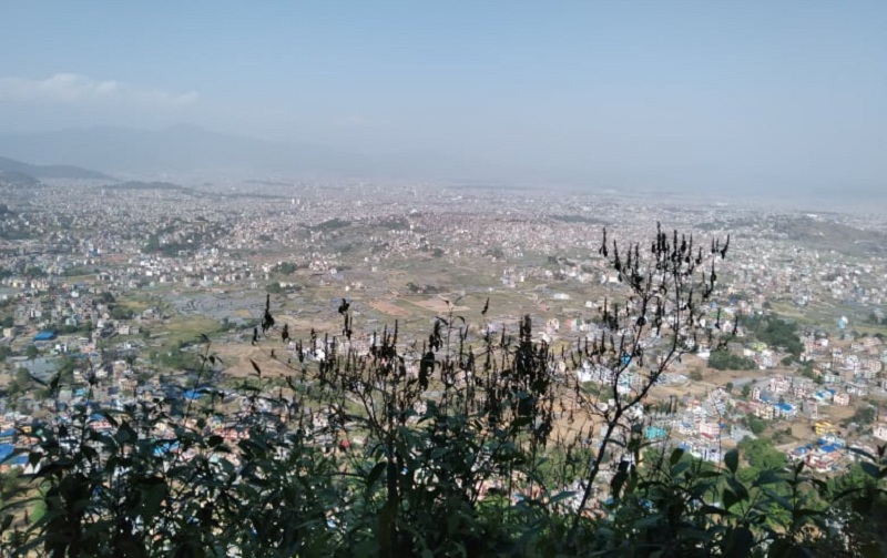 ६४ वर्ष पछि फेला पर्यो अनौठो चरा, आधा मानिस, आधा पंक्षी !