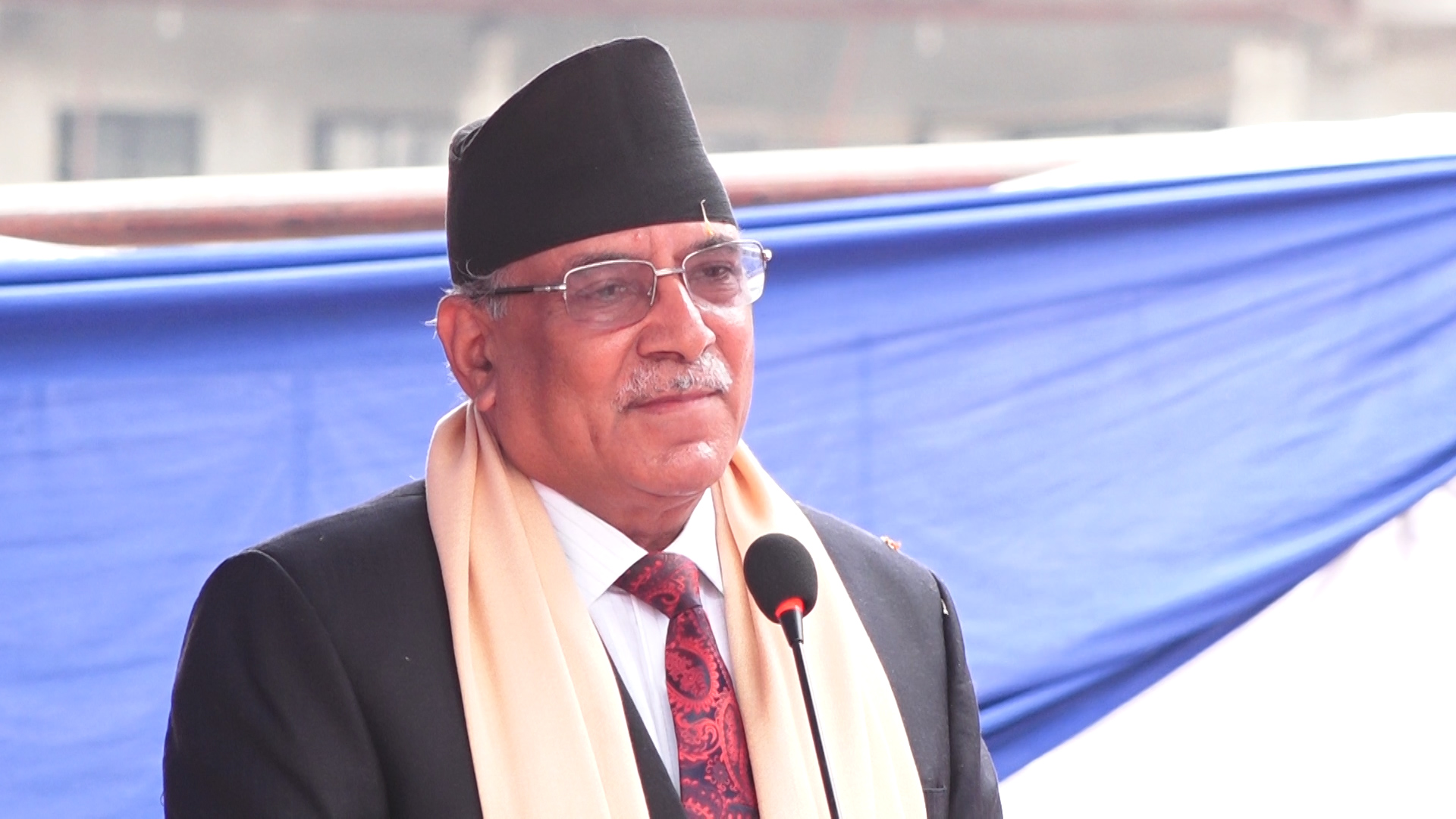 ६४ वर्ष पछि फेला पर्यो अनौठो चरा, आधा मानिस, आधा पंक्षी !