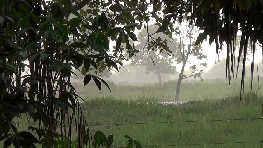 ६४ वर्ष पछि फेला पर्यो अनौठो चरा, आधा मानिस, आधा पंक्षी !