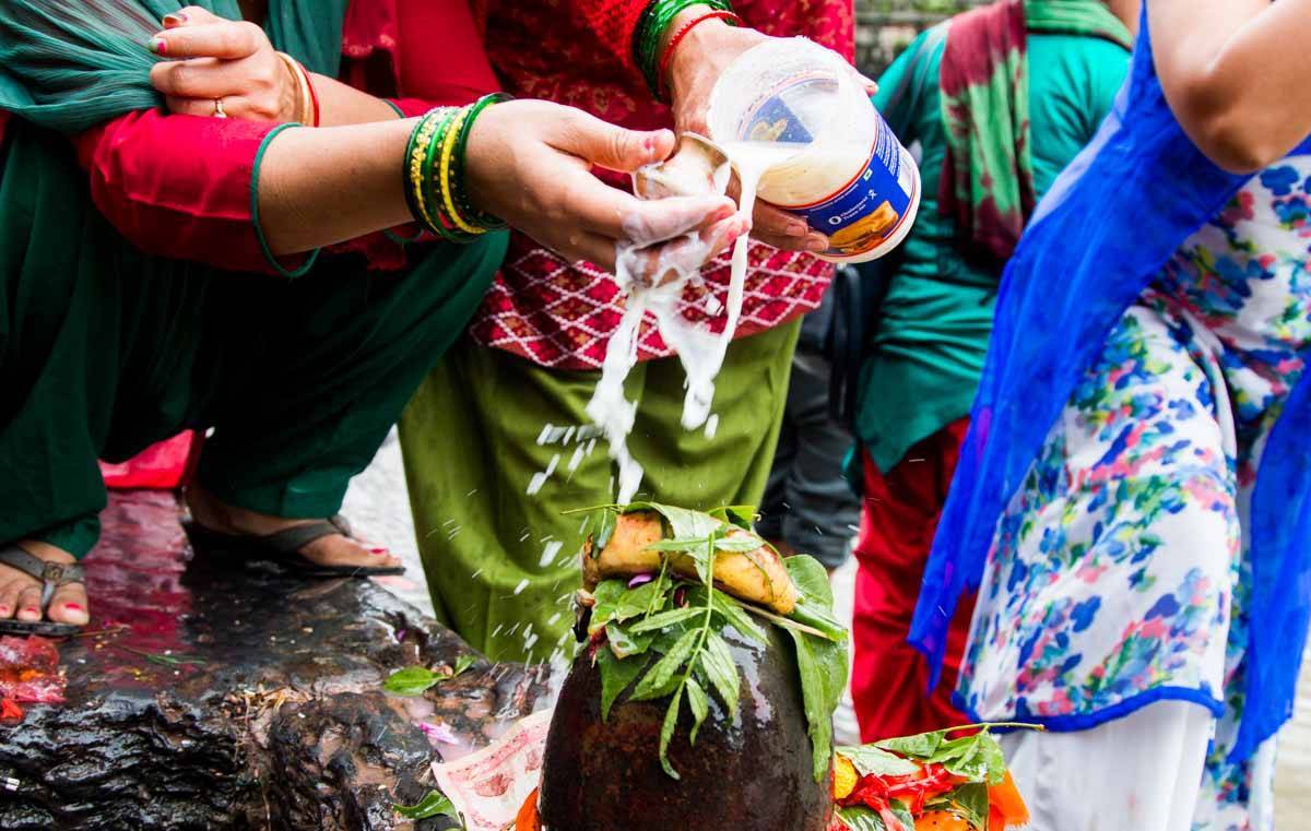 ६४ वर्ष पछि फेला पर्यो अनौठो चरा, आधा मानिस, आधा पंक्षी !