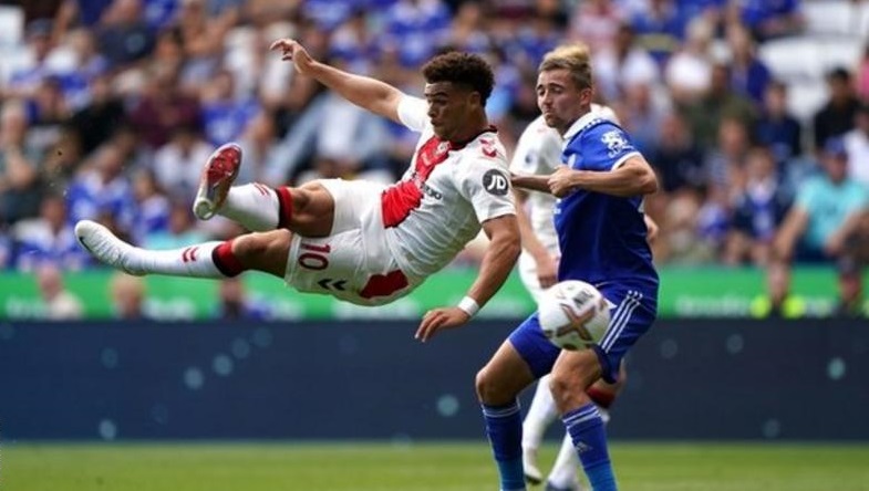 ६४ वर्ष पछि फेला पर्यो अनौठो चरा, आधा मानिस, आधा पंक्षी !